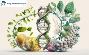 NEET 2025 Biology Important Chapters