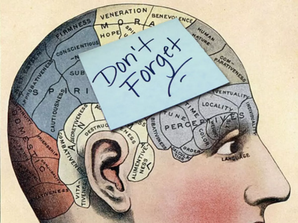 Image of the brain regions with functions