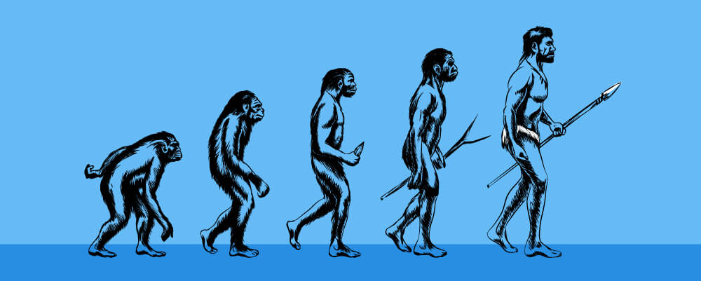 Image of man's evolution from ape